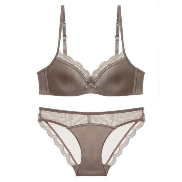 Women's Sexy Thin Glossy Lace Bra Set