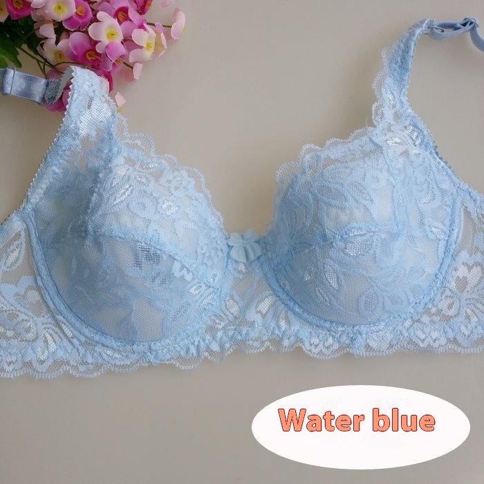 Ultra-thin Breathable Sexy Comfortable Lace Push Up Bra Set - Image 5