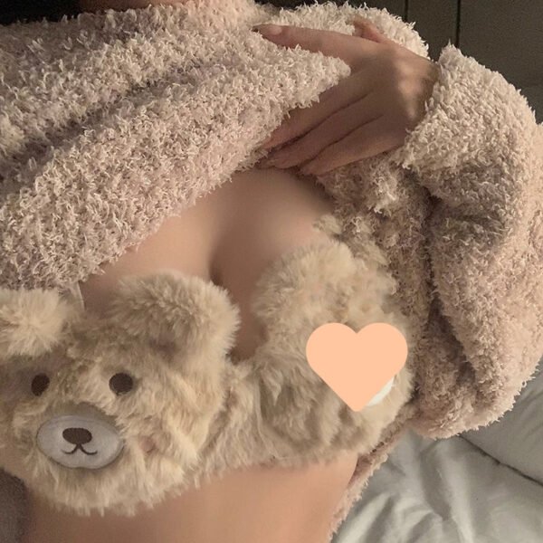 Plush Underwear Embroidery Without Steel Ring Bra Set - Image 7