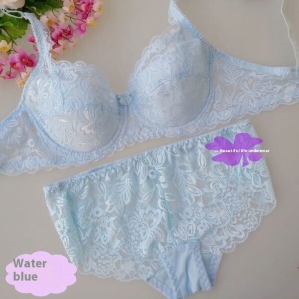 Ultra-thin Breathable Sexy Comfortable Lace Push Up Bra Set - Image 7