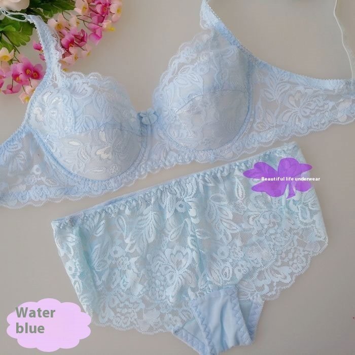 Ultra-thin Breathable Sexy Comfortable Lace Push Up Bra Set - Image 7