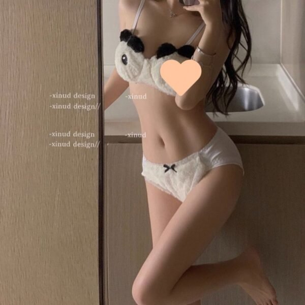 Plush Underwear Embroidery Without Steel Ring Bra Set - Image 8