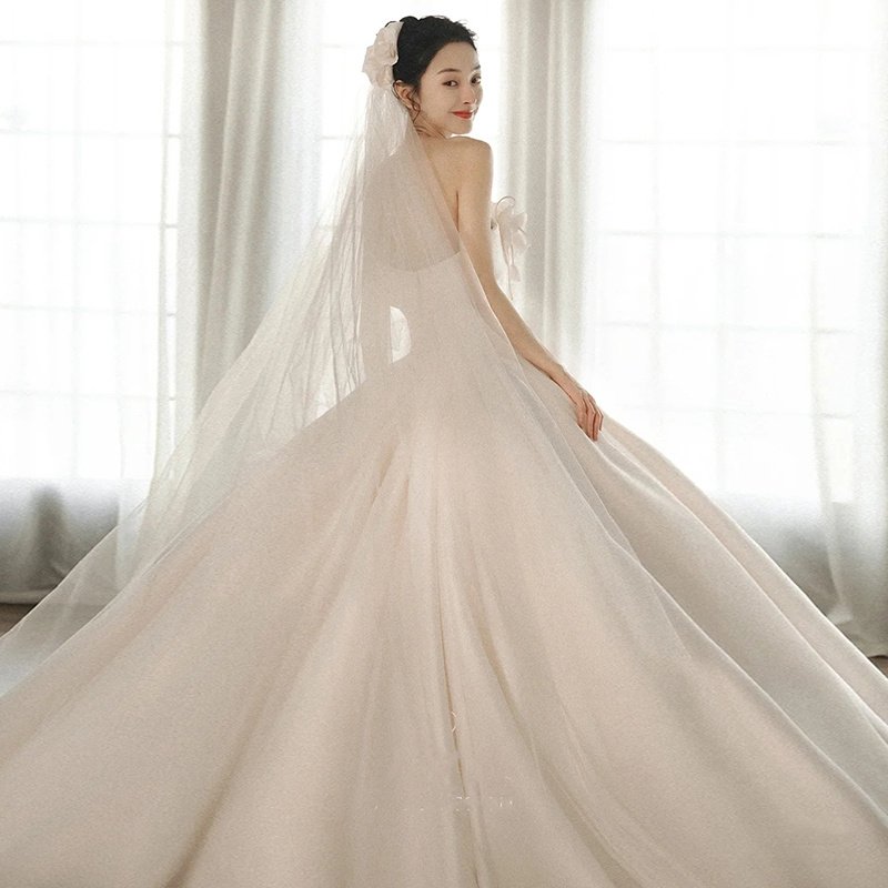 A Strapless Dress With A Big Train - Image 5